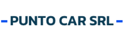 Logo di Punto Car Srl